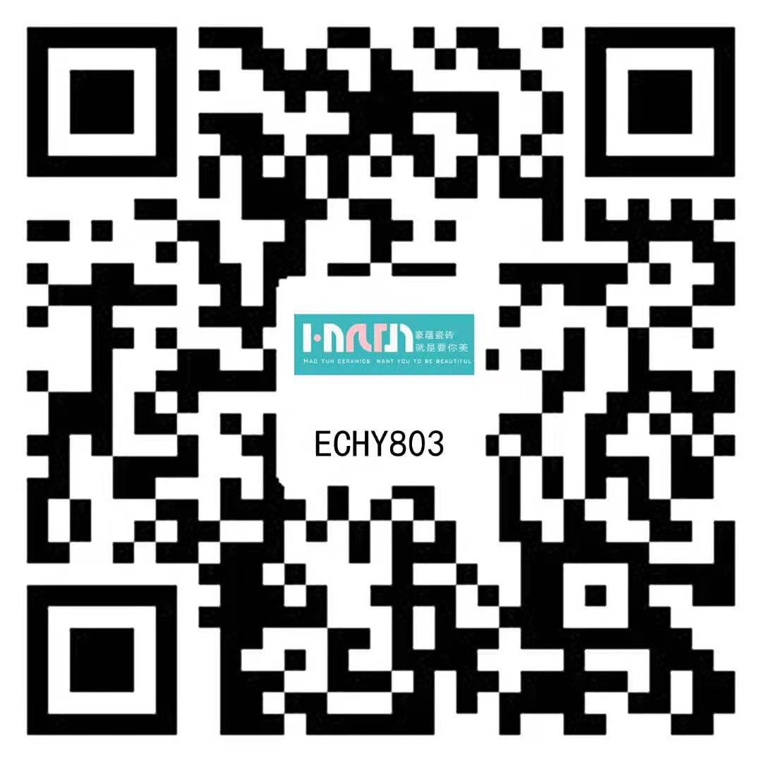 ECHY803