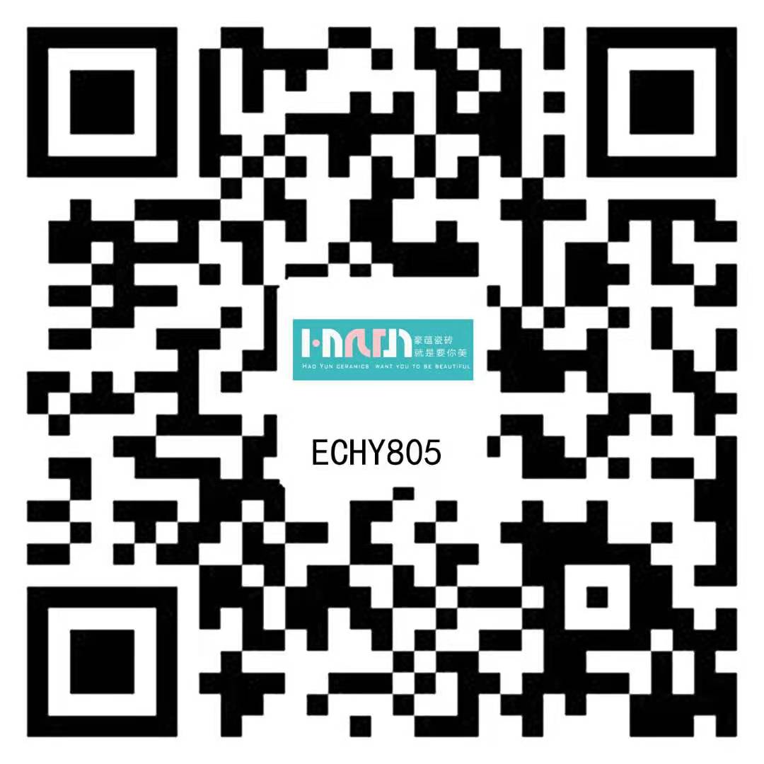 ECHY805