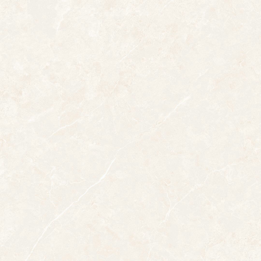 新品展示