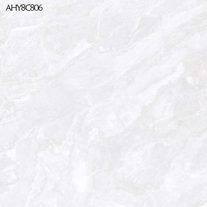 AHY8C806