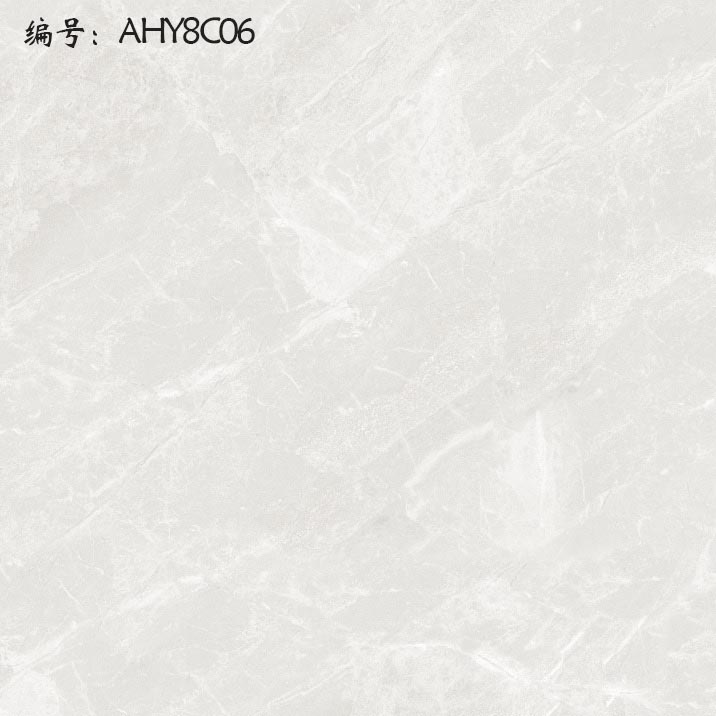 AHY8C06