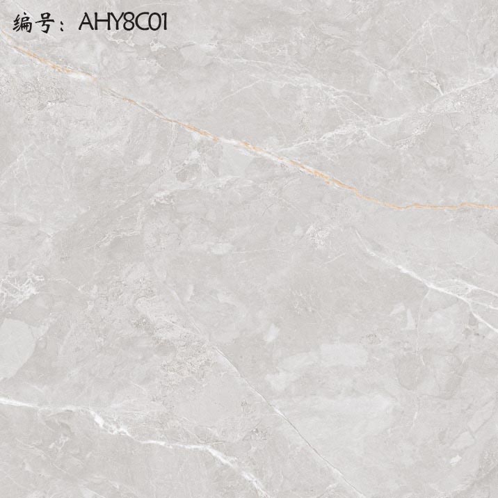 AHY8C01