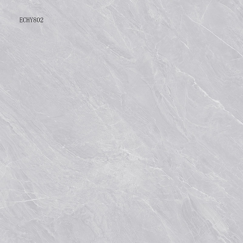 ECHY802