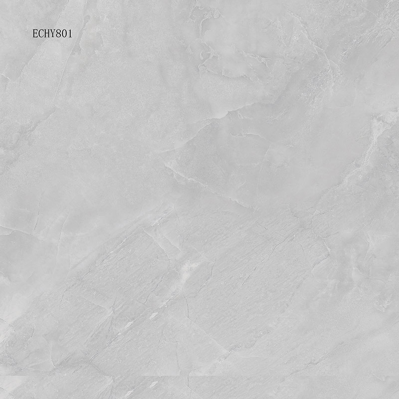 ECHY801