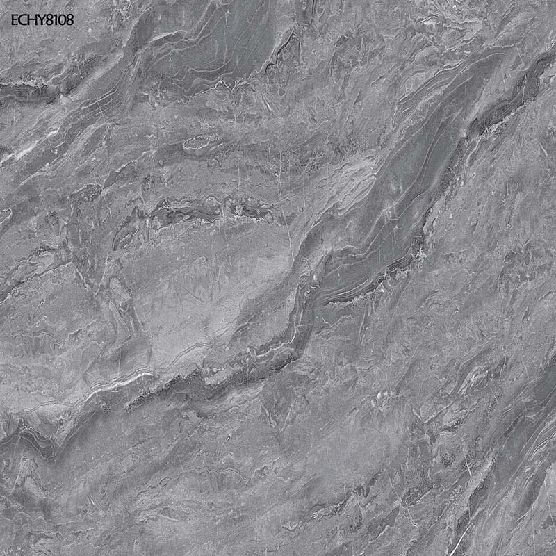 ECHY8108