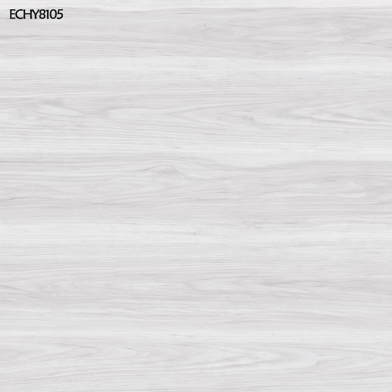 ECHY8105