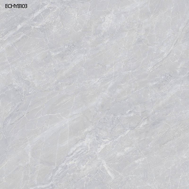 ECHY8103