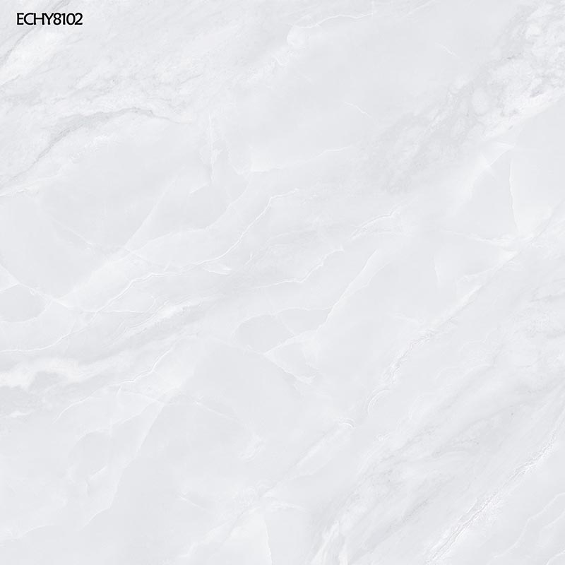 ECHY8102